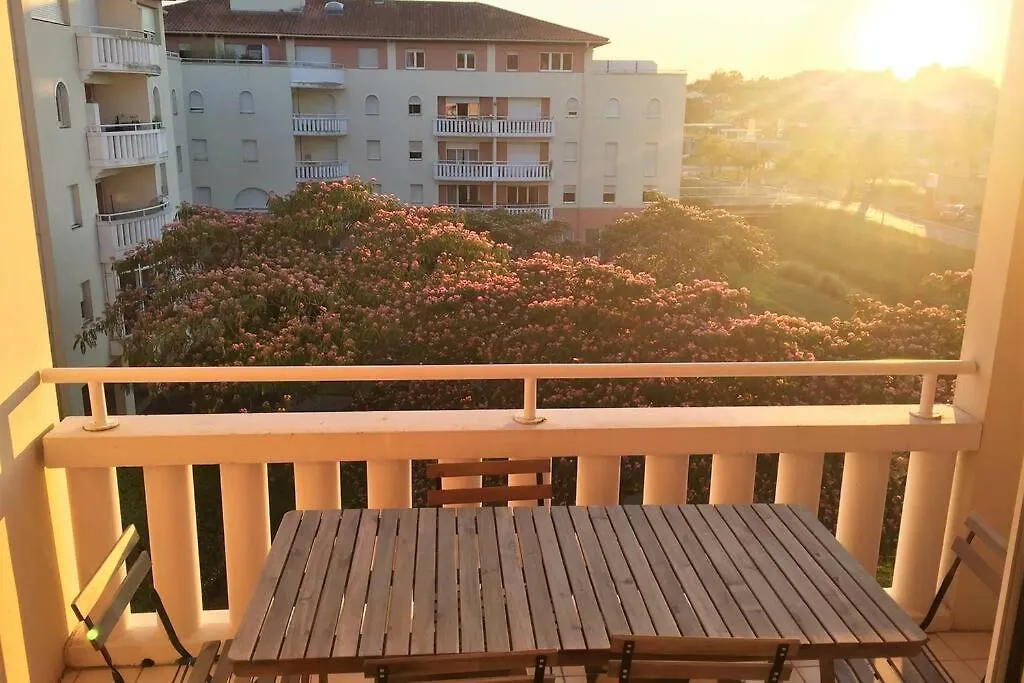 La Feuillee Angloye Proche Bab2 Terrasse Apartment Bayonne
